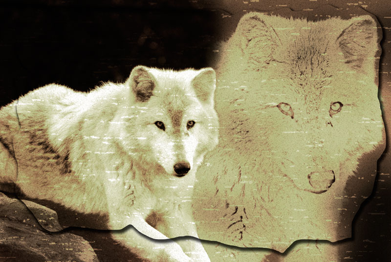 An old, vintage poster.